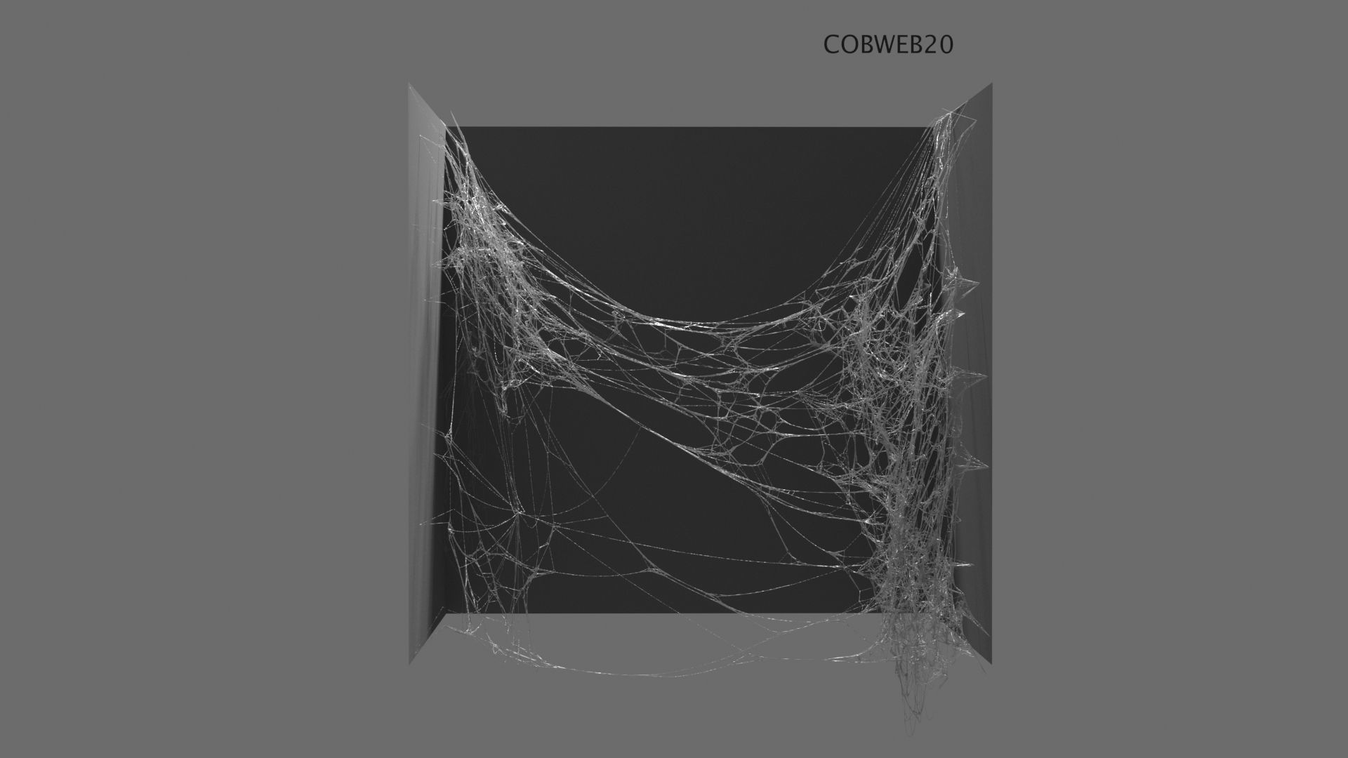 Cobwebs Collection open door with spider webs 3D model_35