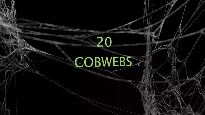 Cobwebs Collection open door with spider webs 3D model