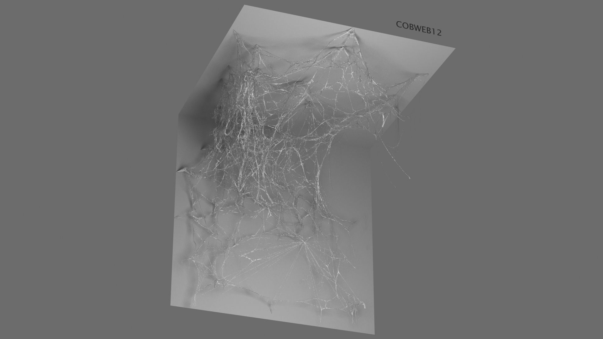 Cobwebs Collection open door with spider webs 3D model_9