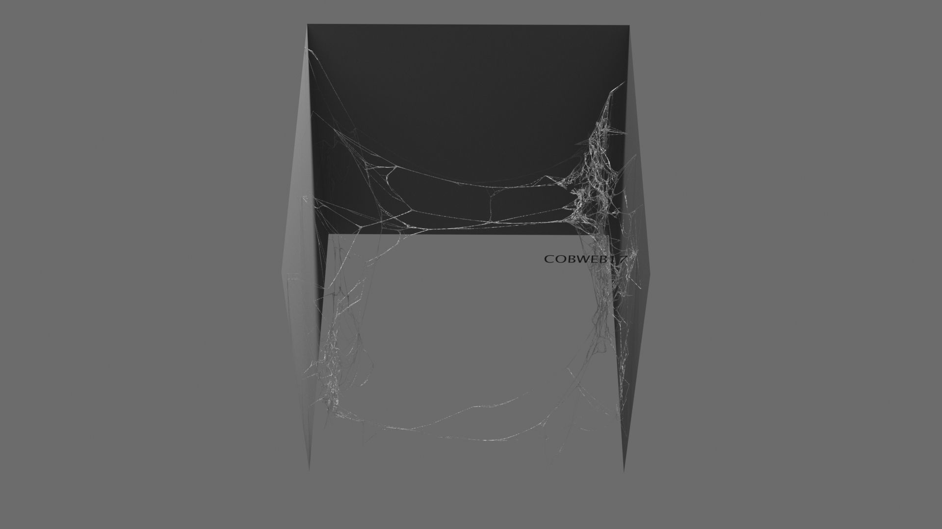 Cobwebs Collection open door with spider webs 3D model_25