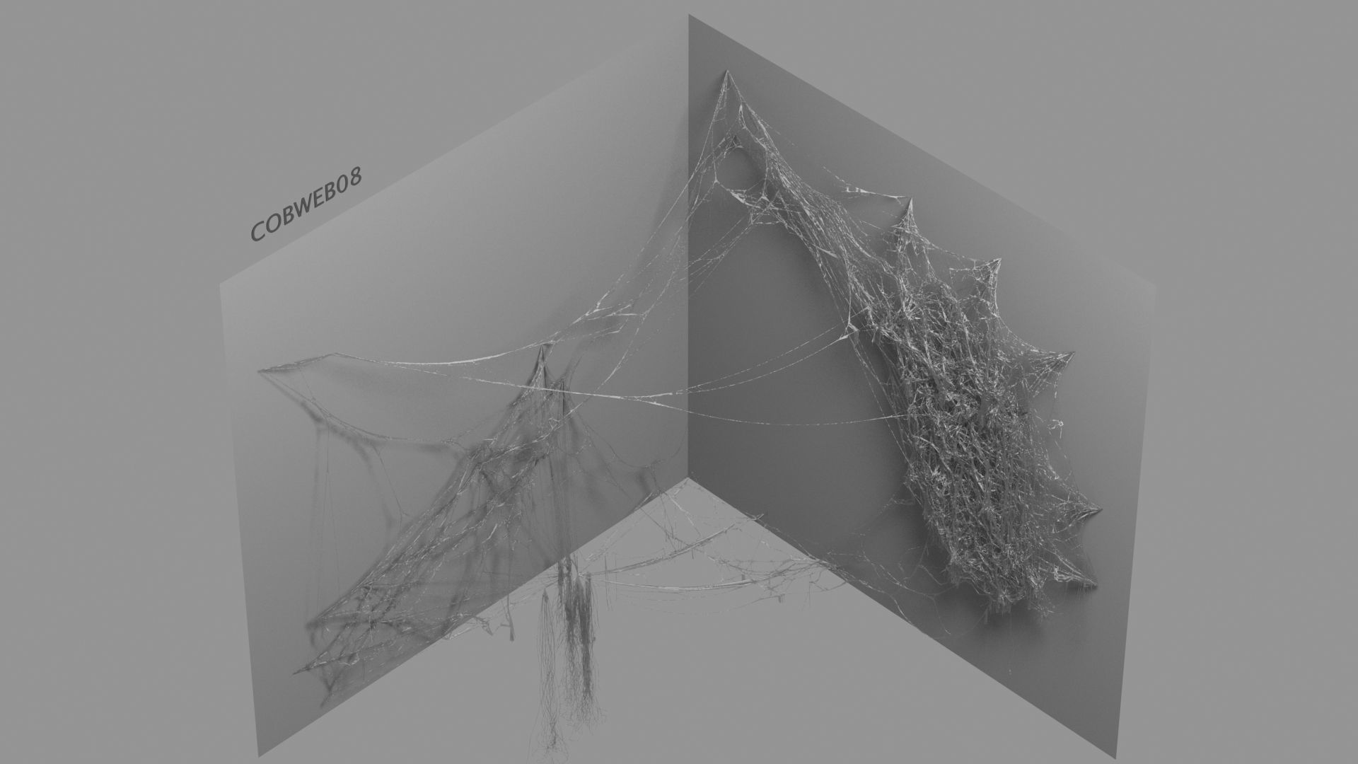 Cobwebs Collection open door with spider webs 3D model_56