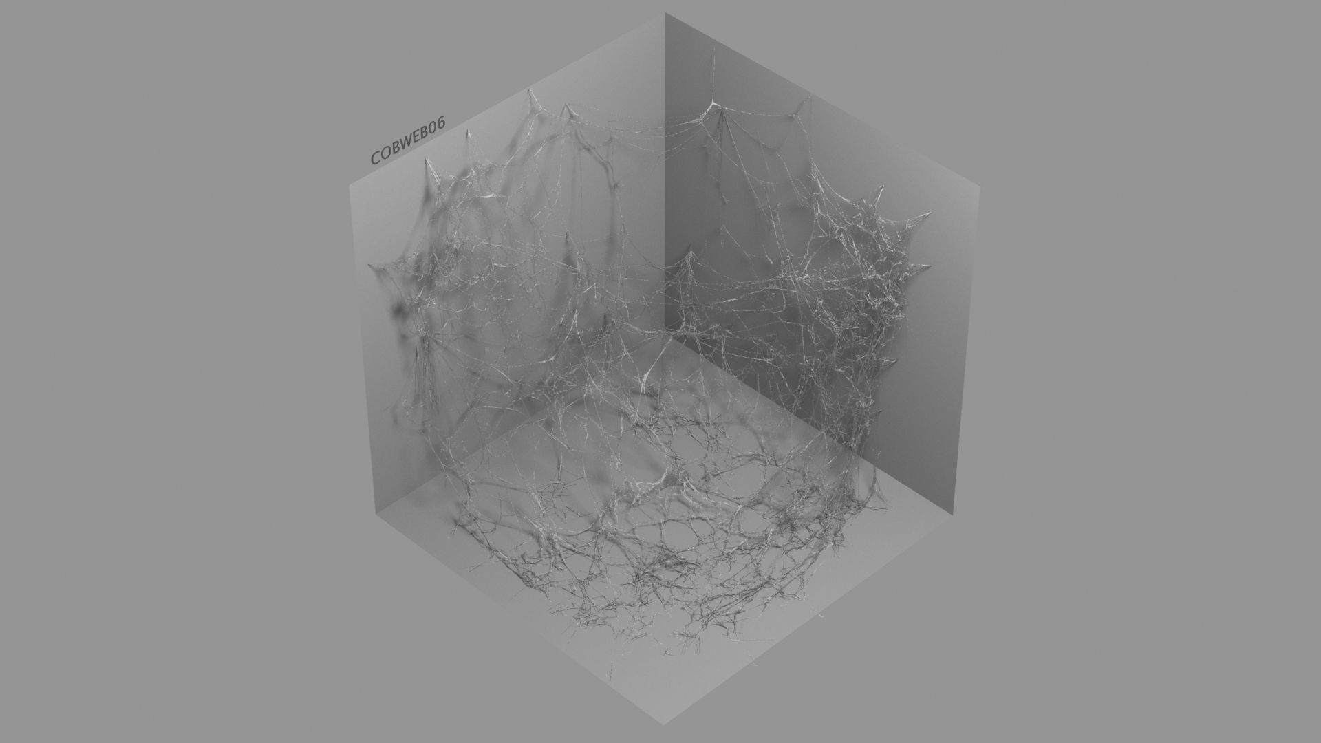 Cobwebs Collection open door with spider webs 3D model_51