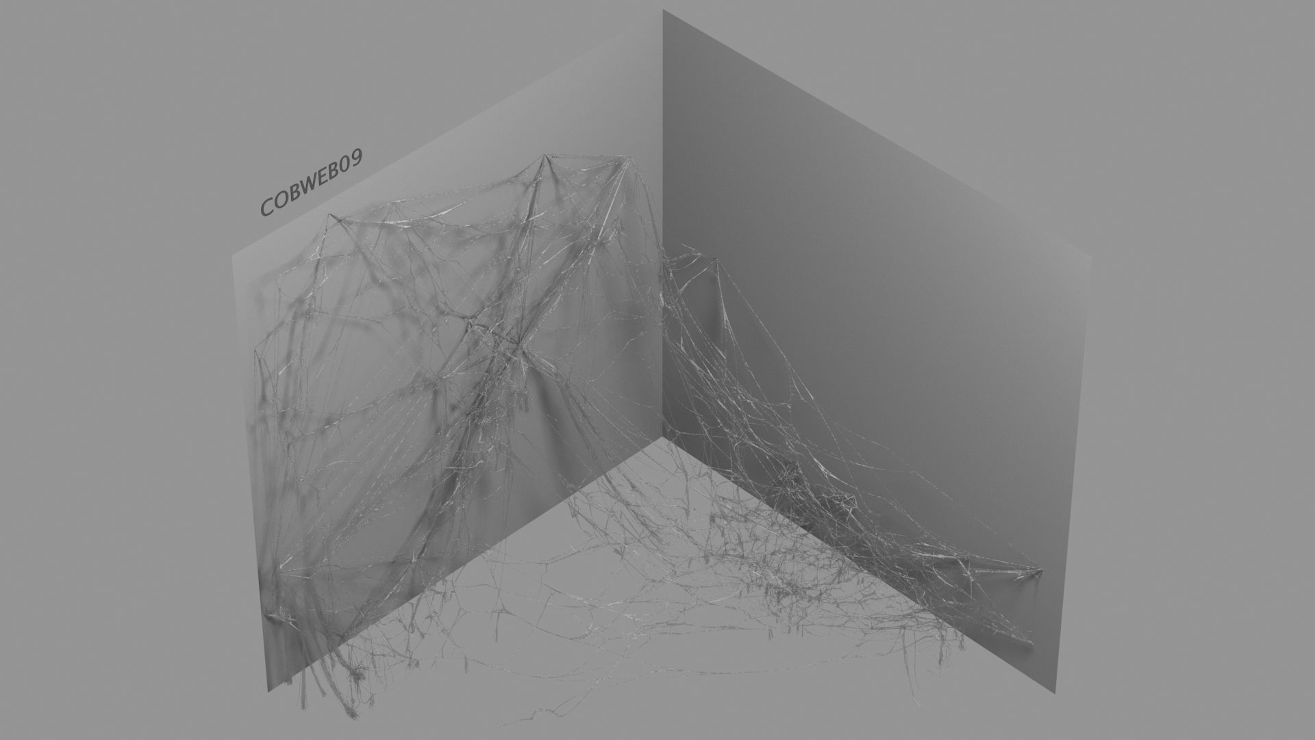 Cobwebs Collection open door with spider webs 3D model_59