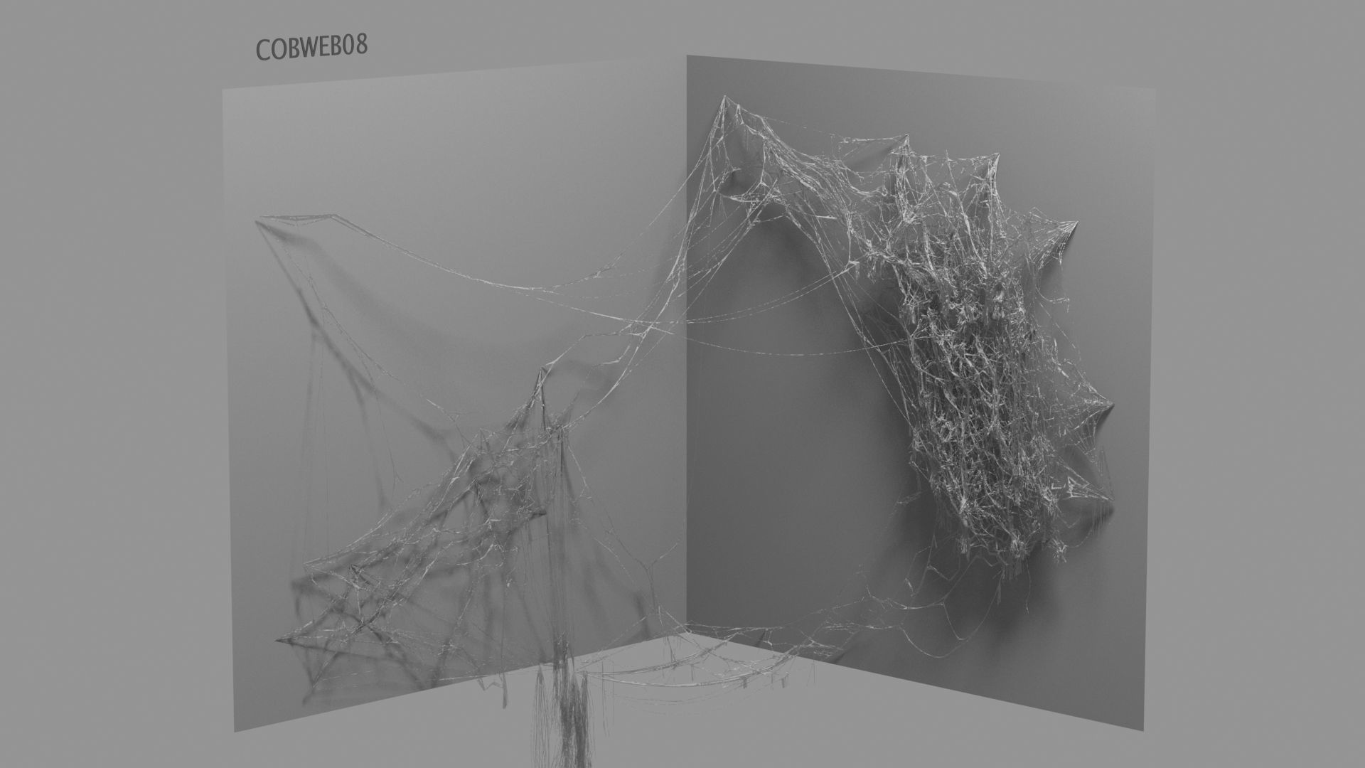 Cobwebs Collection open door with spider webs 3D model_55