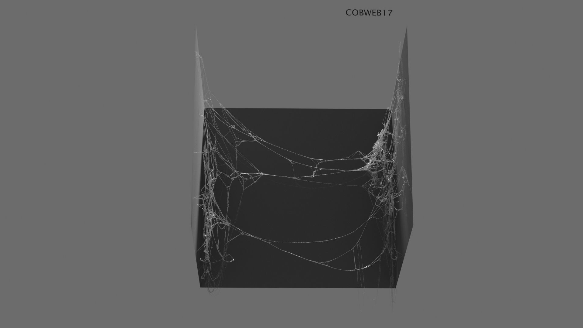 Cobwebs Collection open door with spider webs 3D model_24