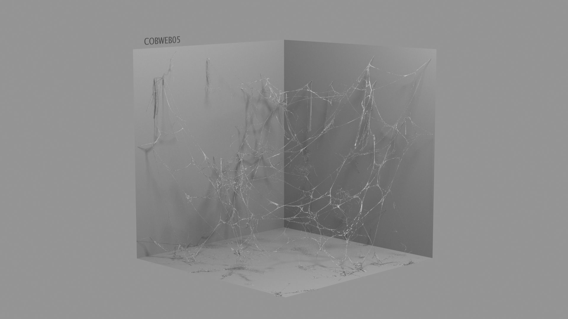 Cobwebs Collection open door with spider webs 3D model_47