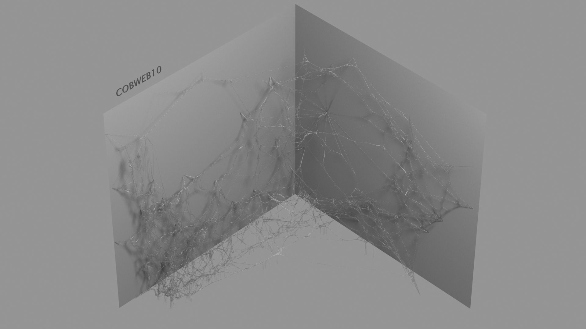 Cobwebs Collection open door with spider webs 3D model_3