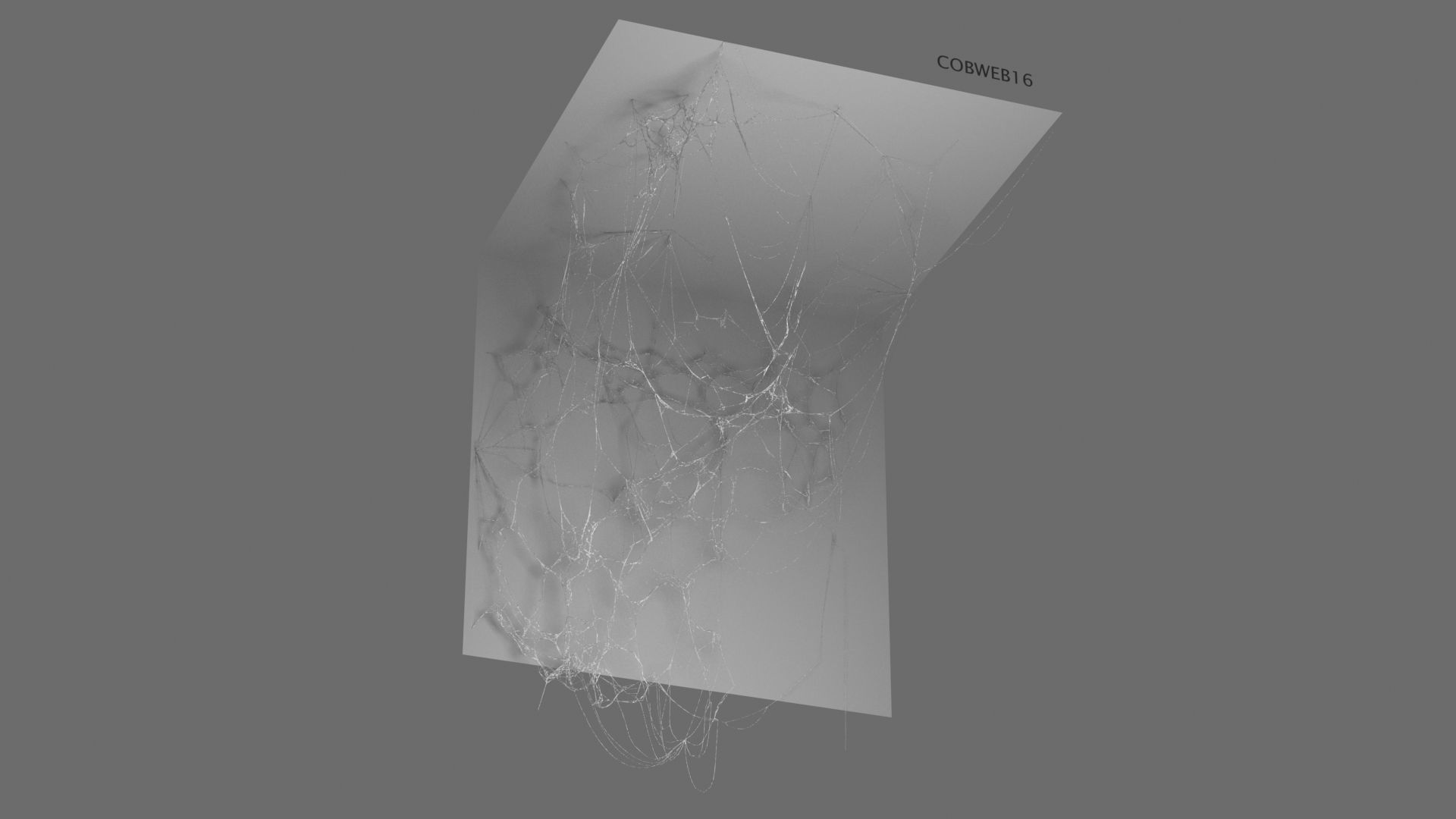 Cobwebs Collection open door with spider webs 3D model_21