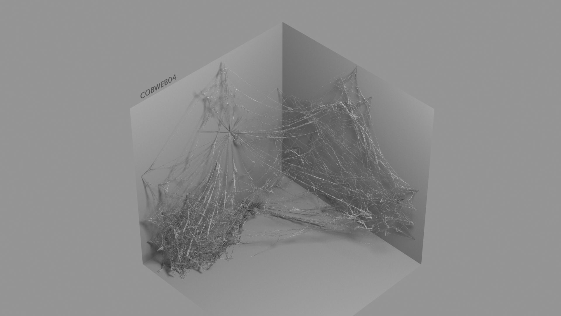 Cobwebs Collection open door with spider webs 3D model_45