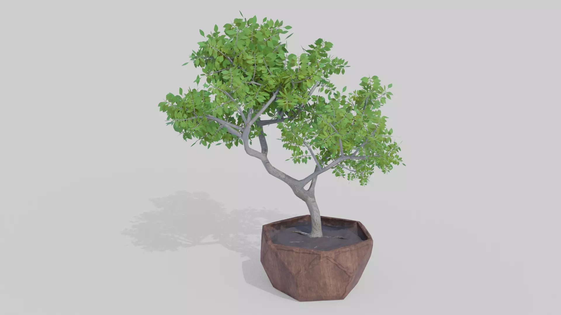 Bonsai Tree Low-poly 3D model_0