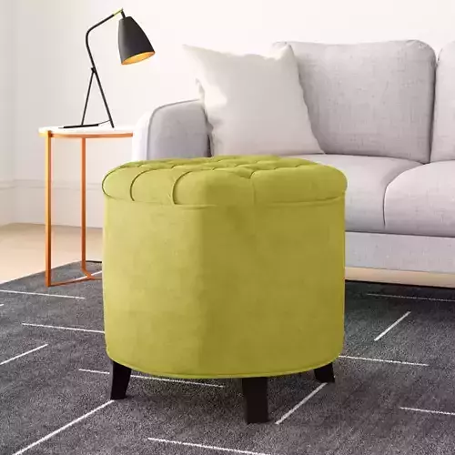  Wayfair Dalton Storage Ottoman