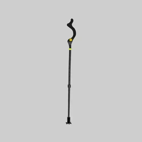campbell walking stick