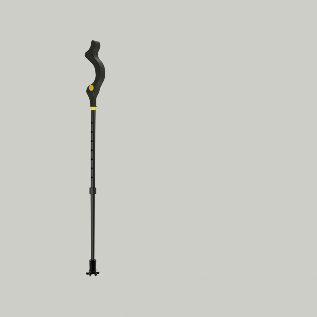campbell walking stick 3D model_1