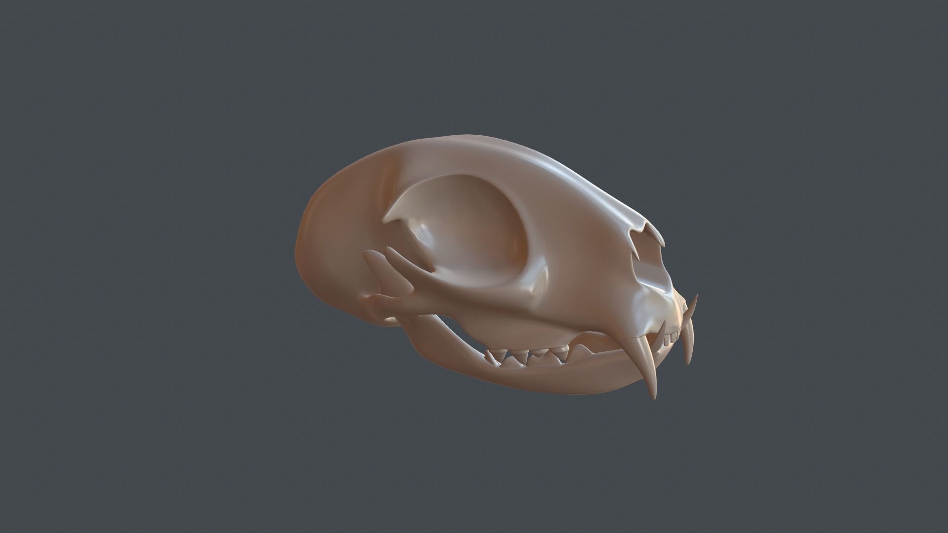 Stylized 3D model of a cat skull model 3D print model_2