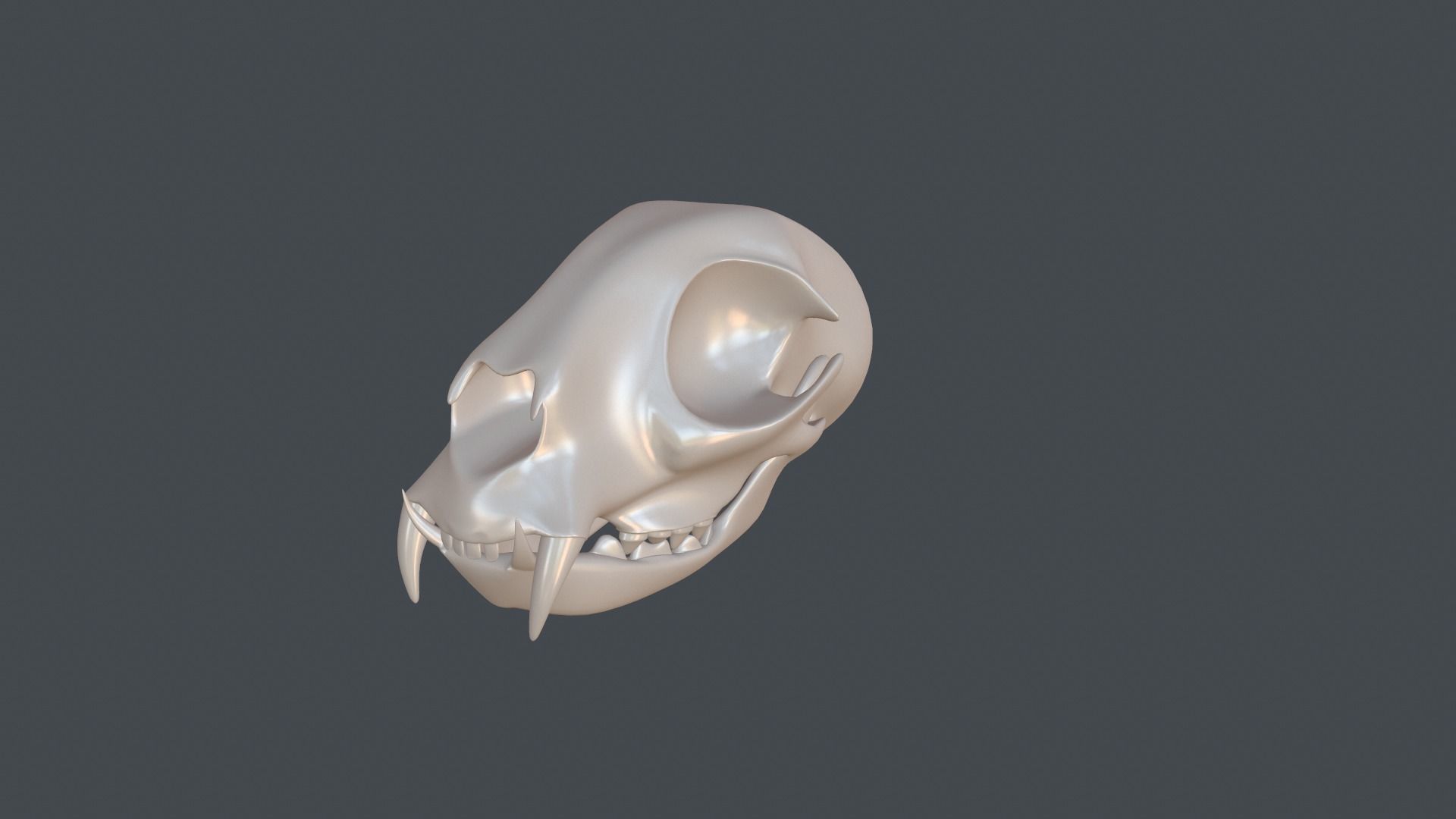Stylized 3D model of a cat skull model 3D print model_9