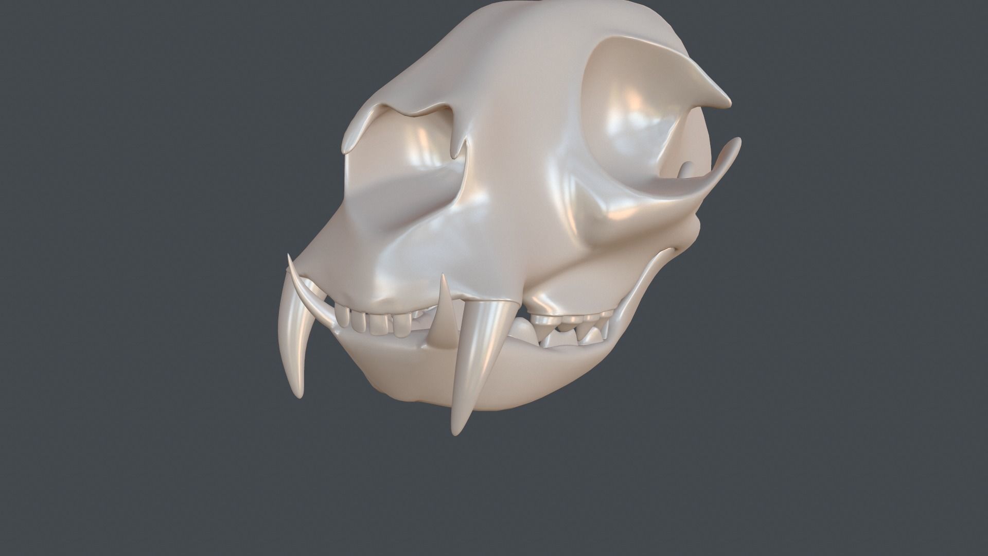 Stylized 3D model of a cat skull model 3D print model_12