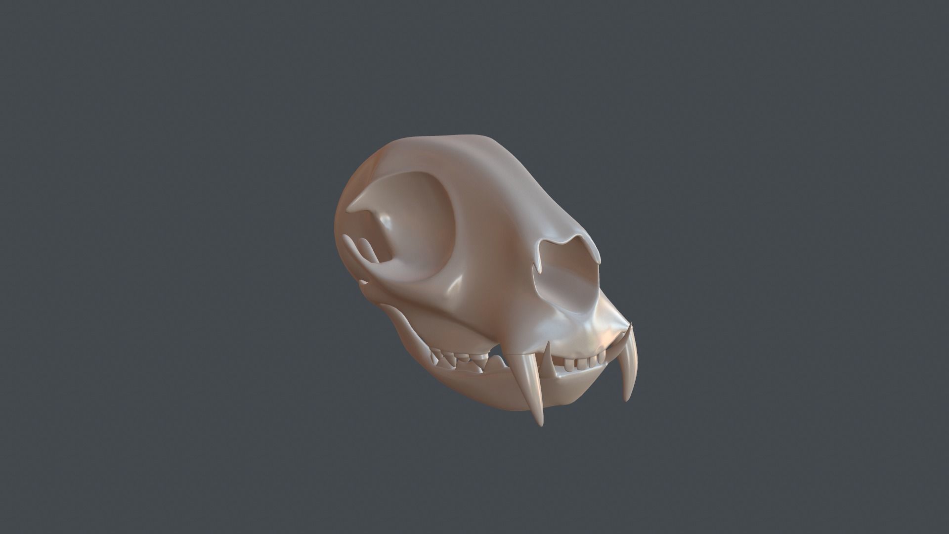 Stylized 3D model of a cat skull model 3D print model_1