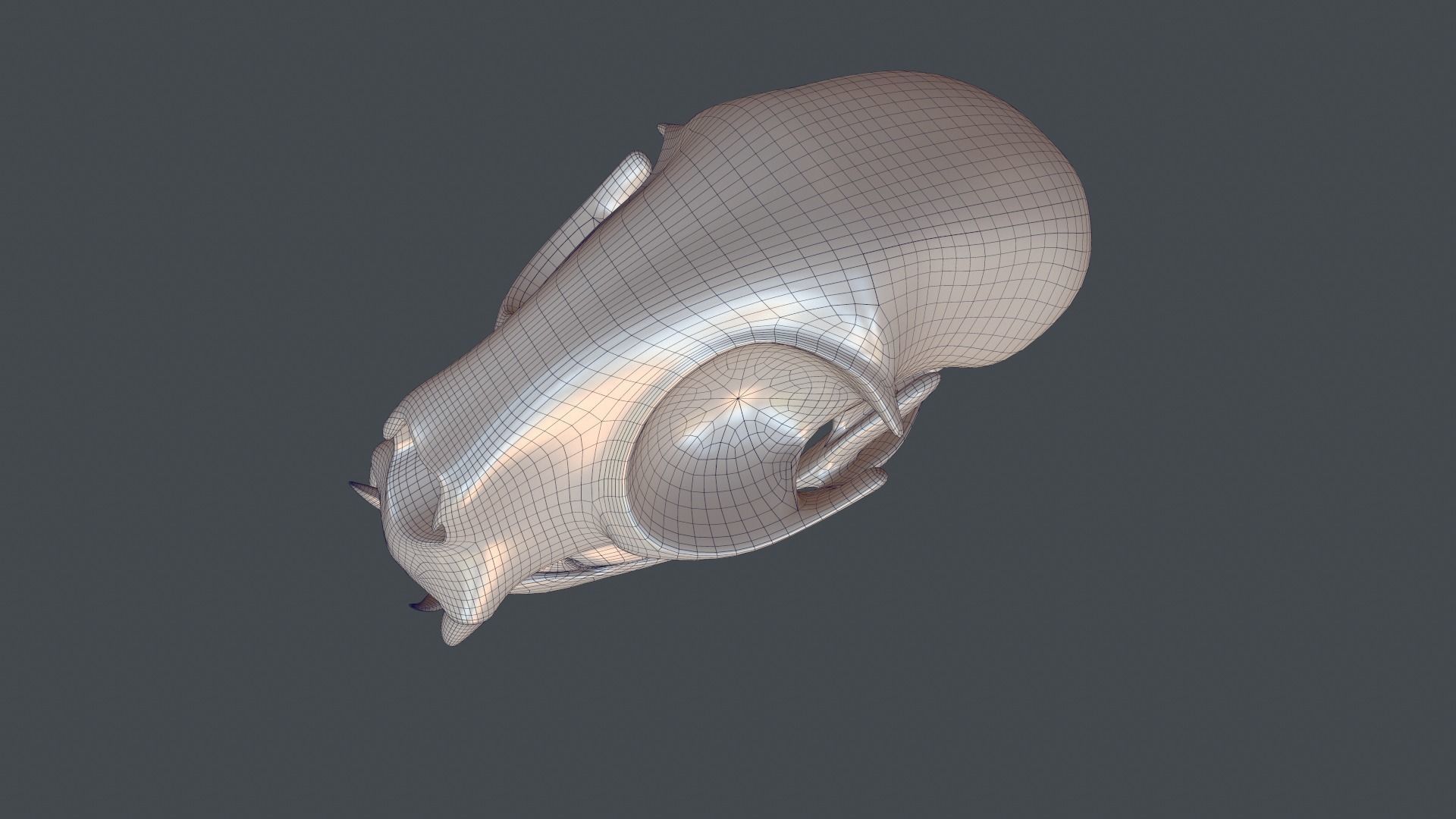 Stylized 3D model of a cat skull model 3D print model_19