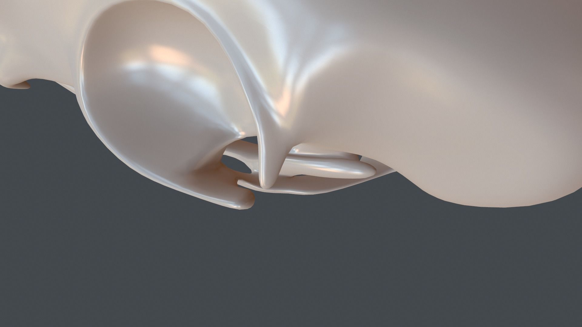 Stylized 3D model of a cat skull model 3D print model_15