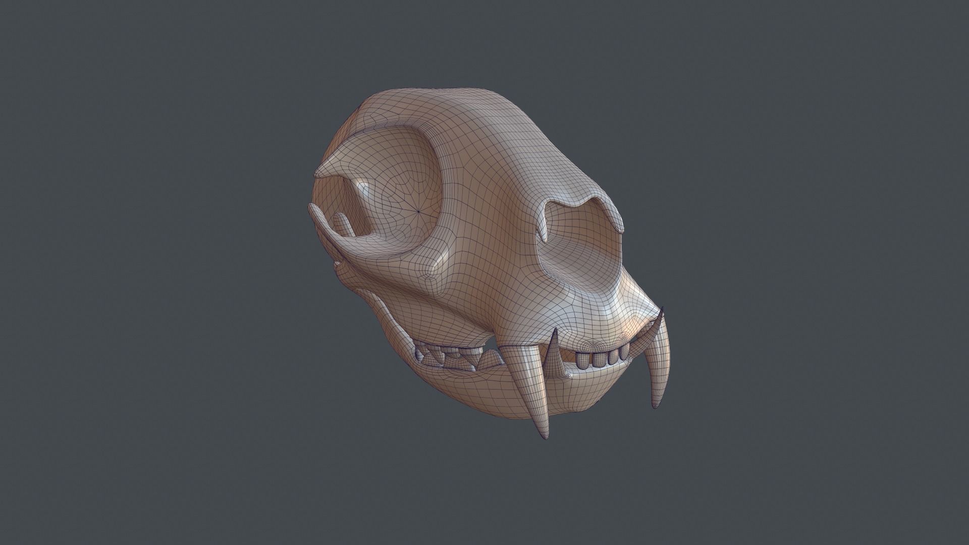 Stylized 3D model of a cat skull model 3D print model_17