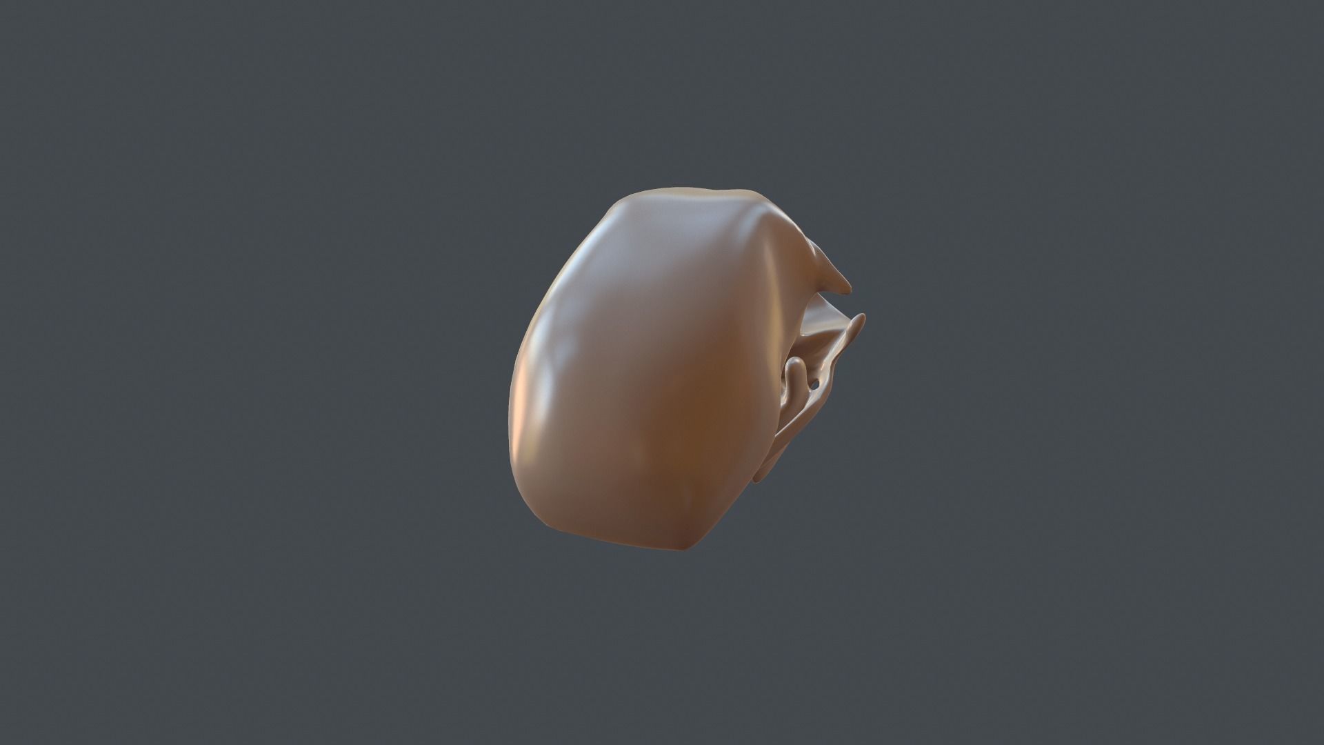 Stylized 3D model of a cat skull model 3D print model_5