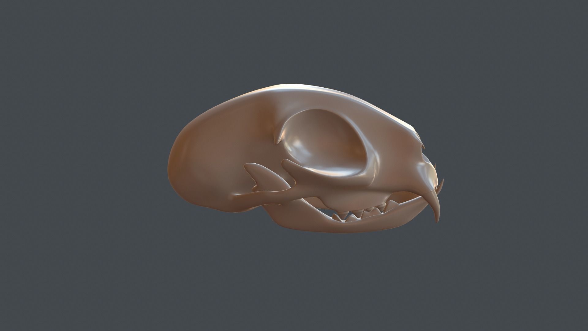 Stylized 3D model of a cat skull model 3D print model_3