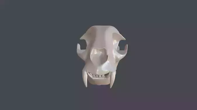 Stylized 3D model of a cat skull model 3D print model