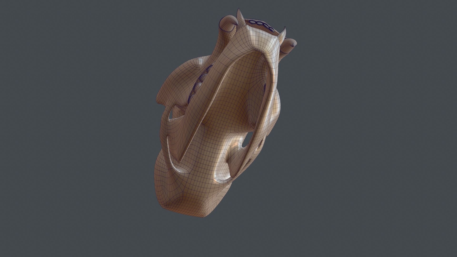 Stylized 3D model of a cat skull model 3D print model_18