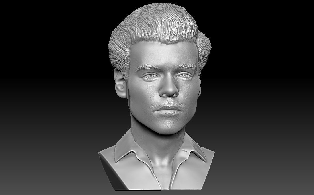 Harry Styles bust 3D printing ready stl obj formats 3D print model_16