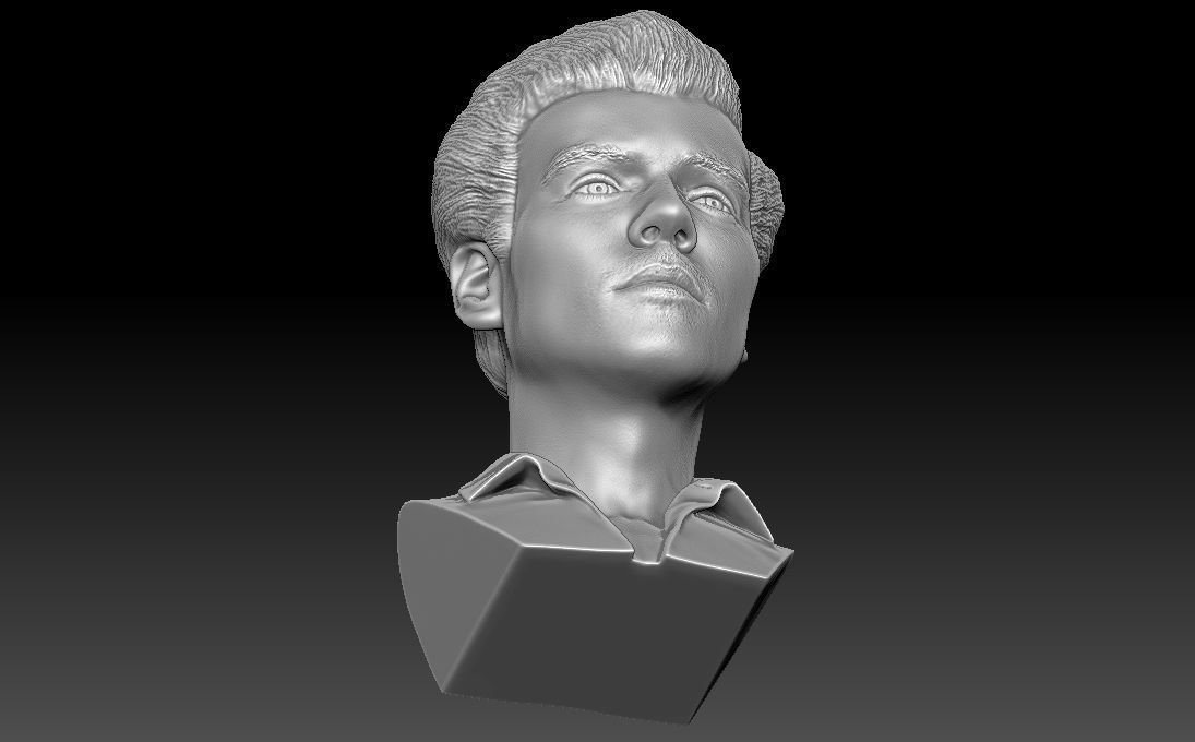 Harry Styles bust 3D printing ready stl obj formats 3D print model_23