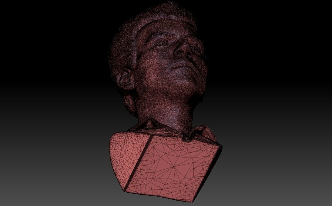 Harry Styles bust 3D printing ready stl obj formats 3D print model_34