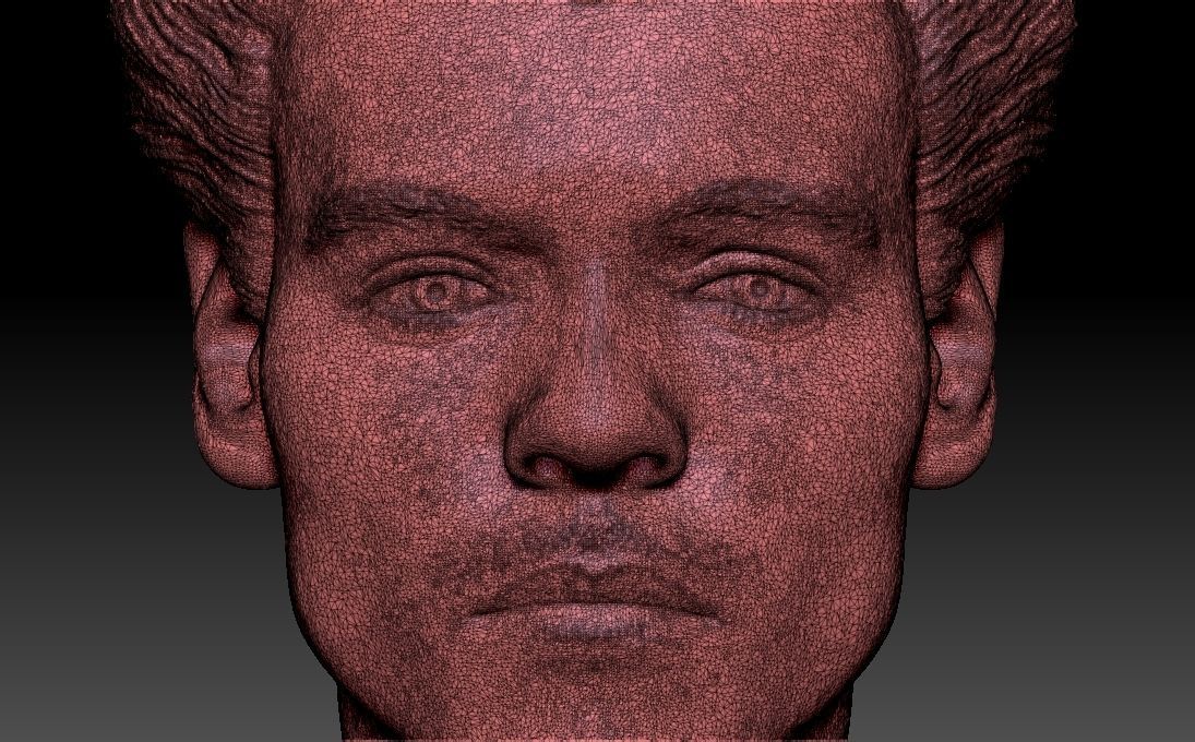 Harry Styles bust 3D printing ready stl obj formats 3D print model_31