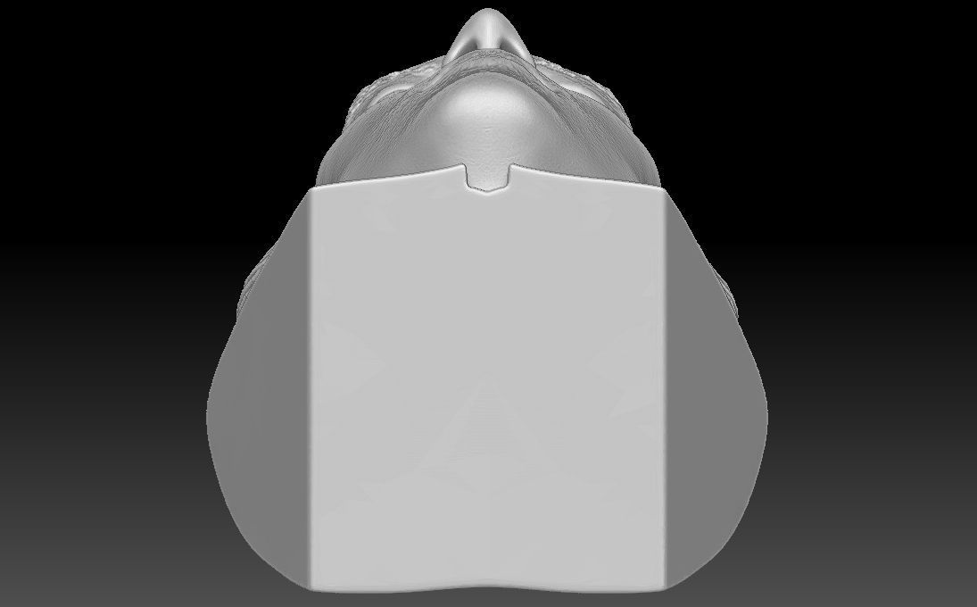 Harry Styles bust 3D printing ready stl obj formats 3D print model_25