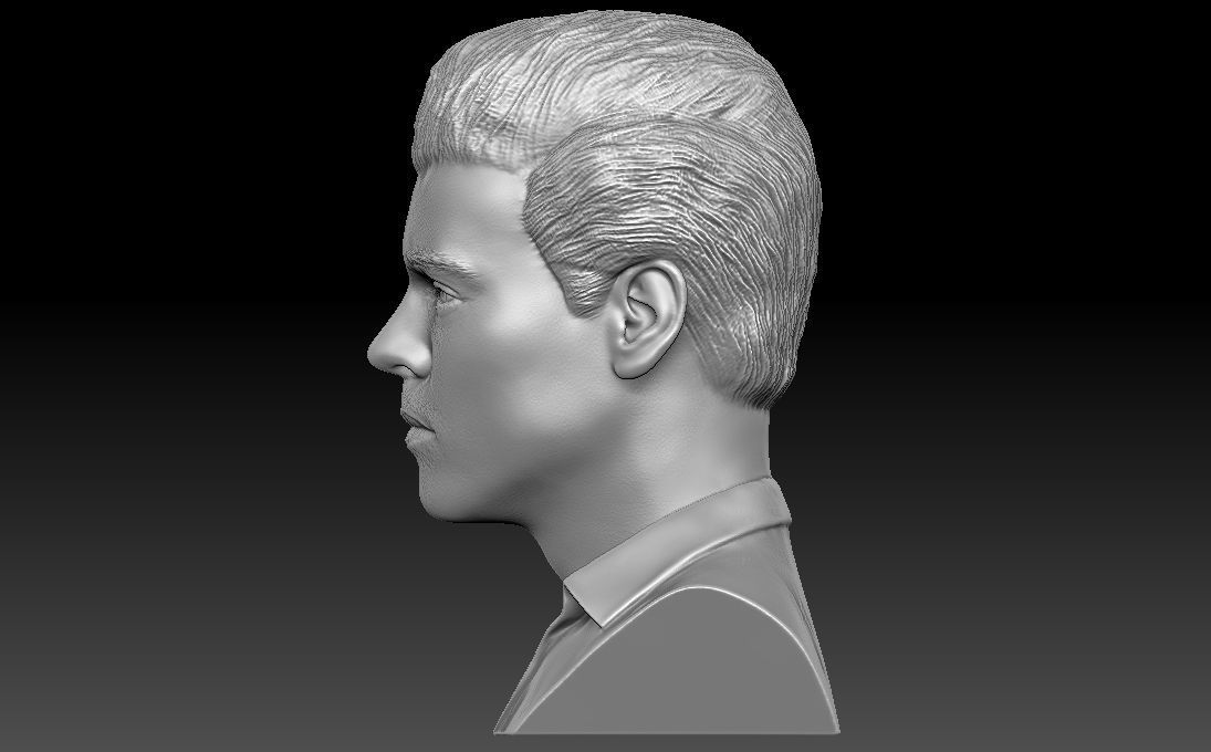 Harry Styles bust 3D printing ready stl obj formats 3D print model_9