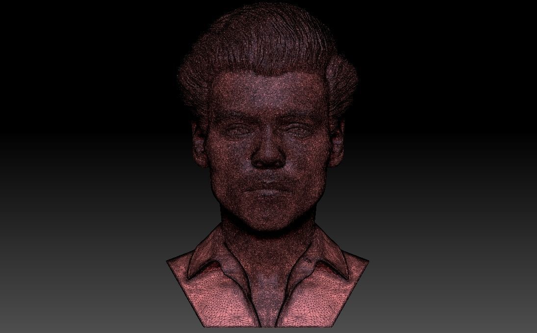 Harry Styles bust 3D printing ready stl obj formats 3D print model_33