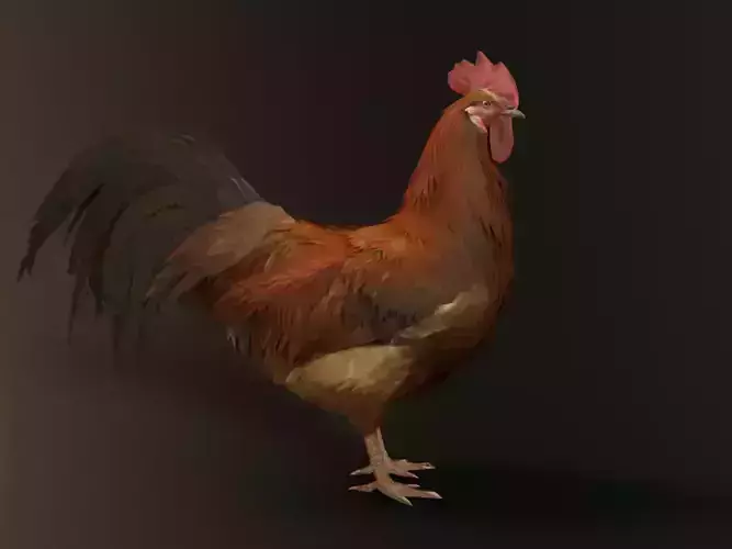 Rooster Animation fix