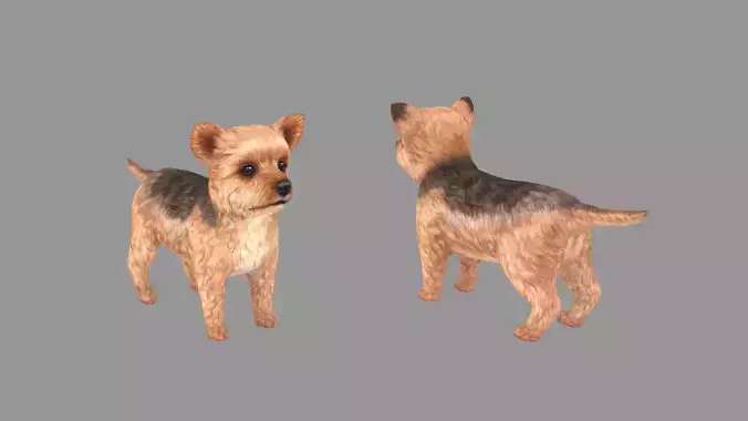 Cartoon pet puppy - Yorkshire - baby dog Low-poly 3D model