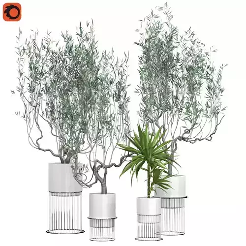 Flower Pack 164C 3D model