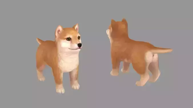 Cartoon pet puppy - Shibainu - baby dog Low-poly 3D model