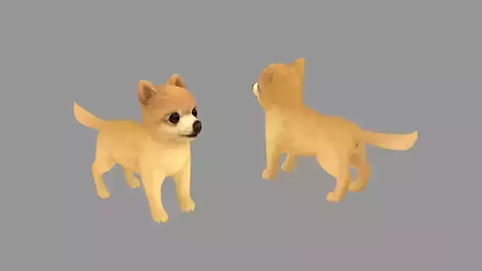 Cartoon pet puppy - Pomeranian - baby dog Low-poly 3D model