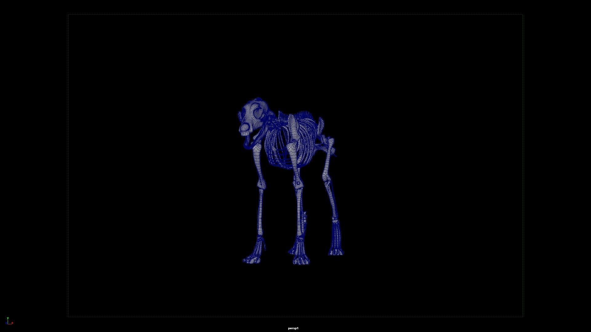 wolf skeleton 3D model_8