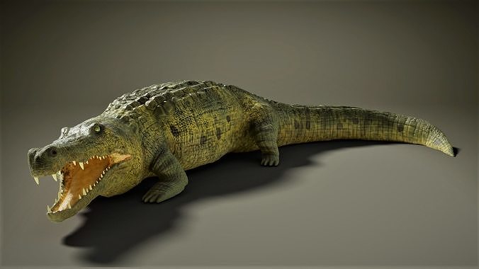 Crocodile Low-poly 3D model