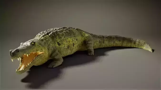 Crocodile Low-poly 3D model