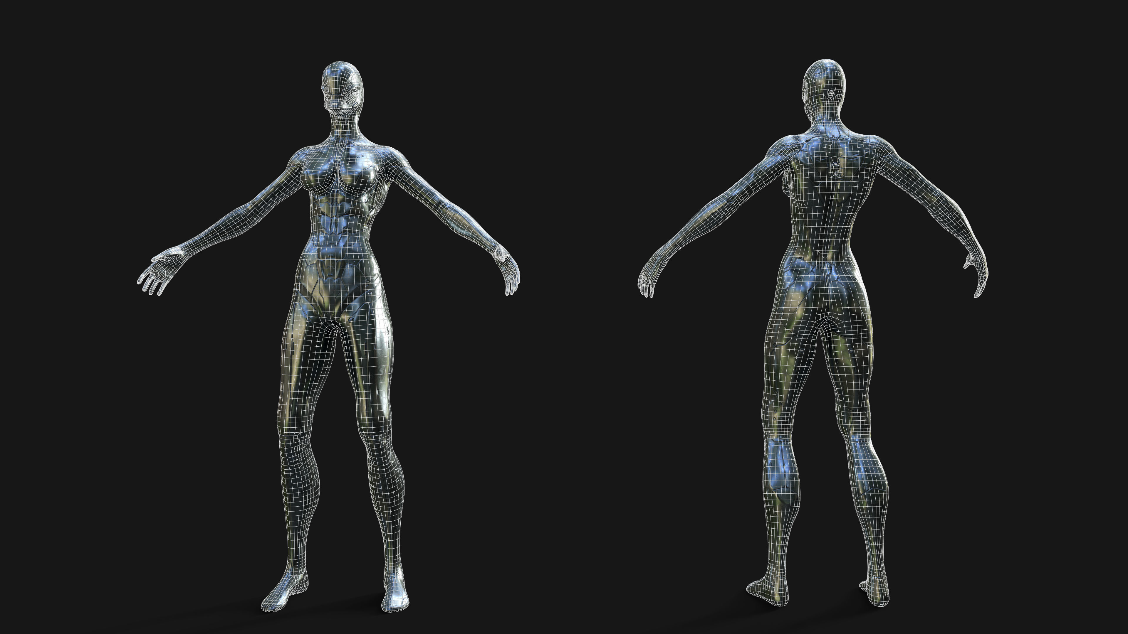 Woman Nano-Cyborg Low-poly 3D model_11