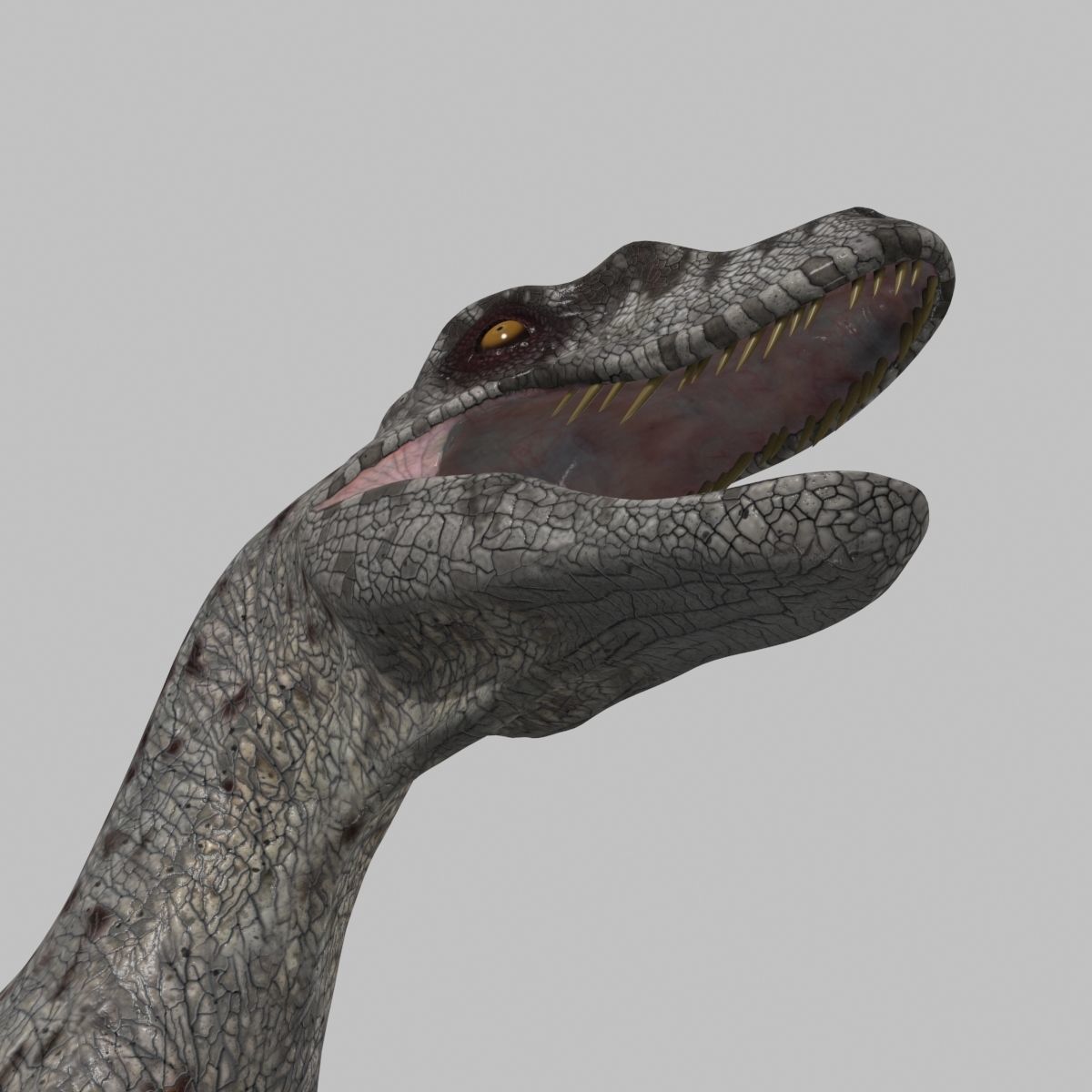 Female Alpha Raptor - 8K - Animated 3D model_26