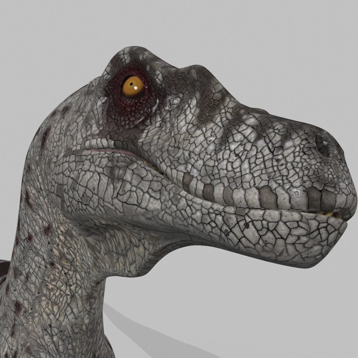 Female Alpha Raptor - 8K - Animated 3D model_11