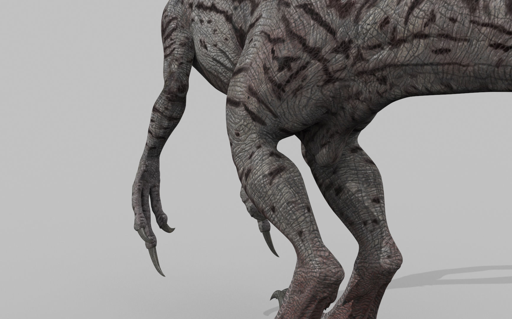 Female Alpha Raptor - 8K - Animated 3D model_28