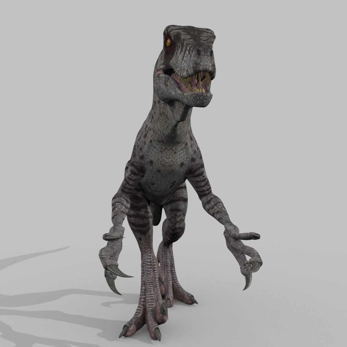 Female Alpha Raptor - 8K - Animated 3D model_34