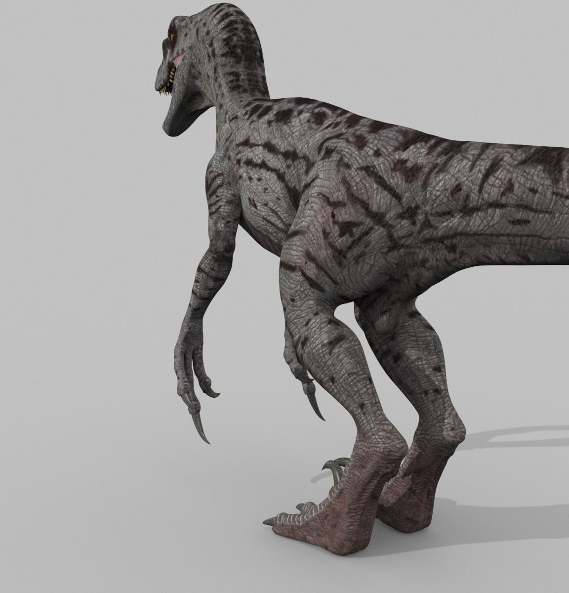 Female Alpha Raptor - 8K - Animated 3D model_18