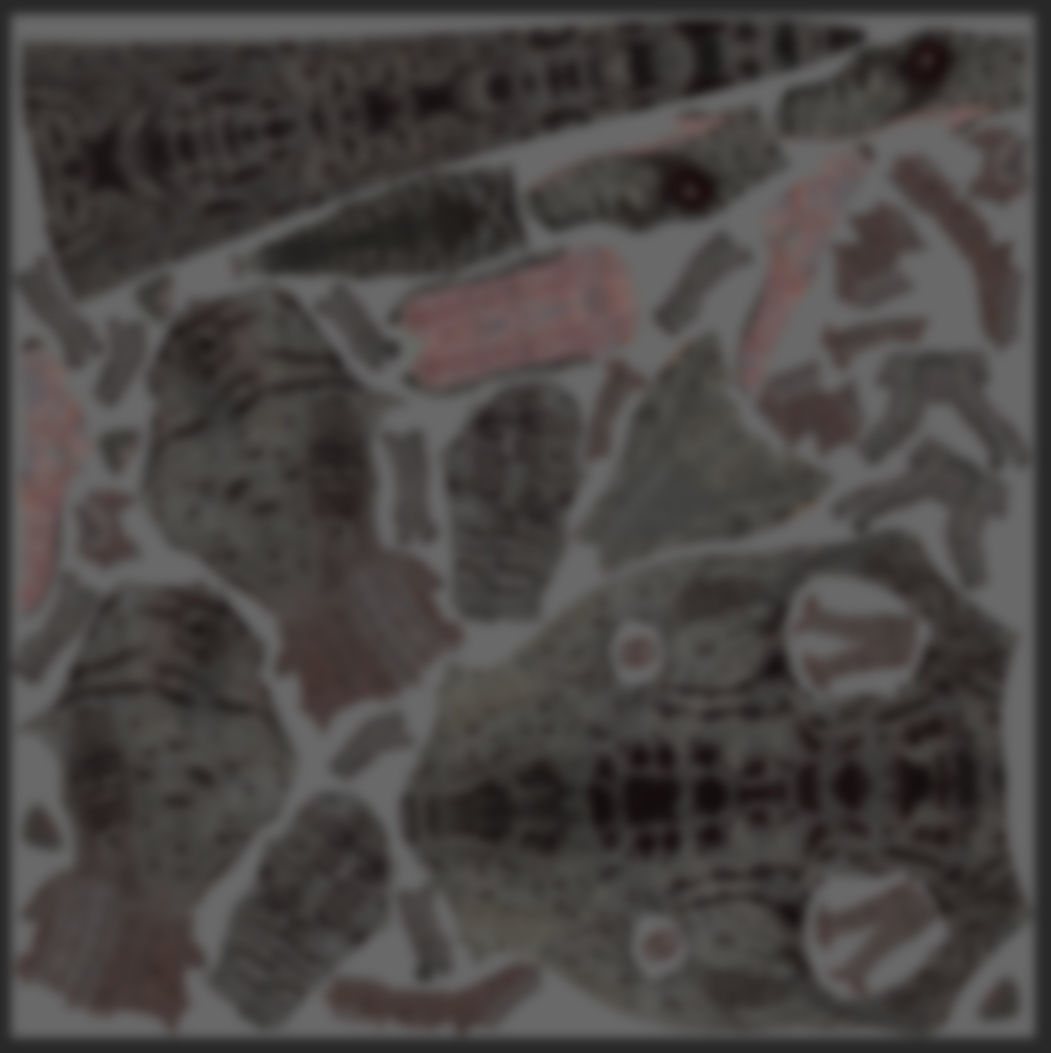 Female Alpha Raptor - 8K - Animated 3D model_42